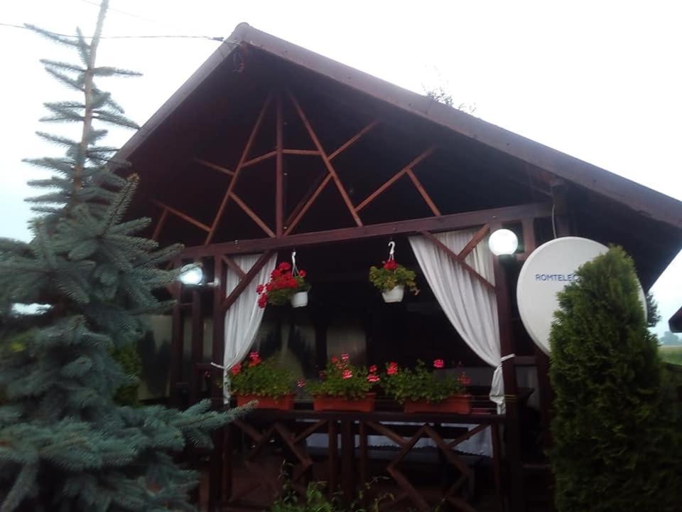 Pensiunea Denisa Sacalusesti Exterior foto